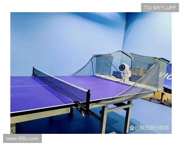 黄娜独家分享乒乓球技巧与心得体会助你提升球技的秘诀