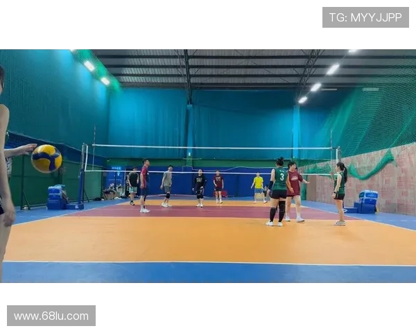 南京排球队意识变革引发热议推动排球运动新发展